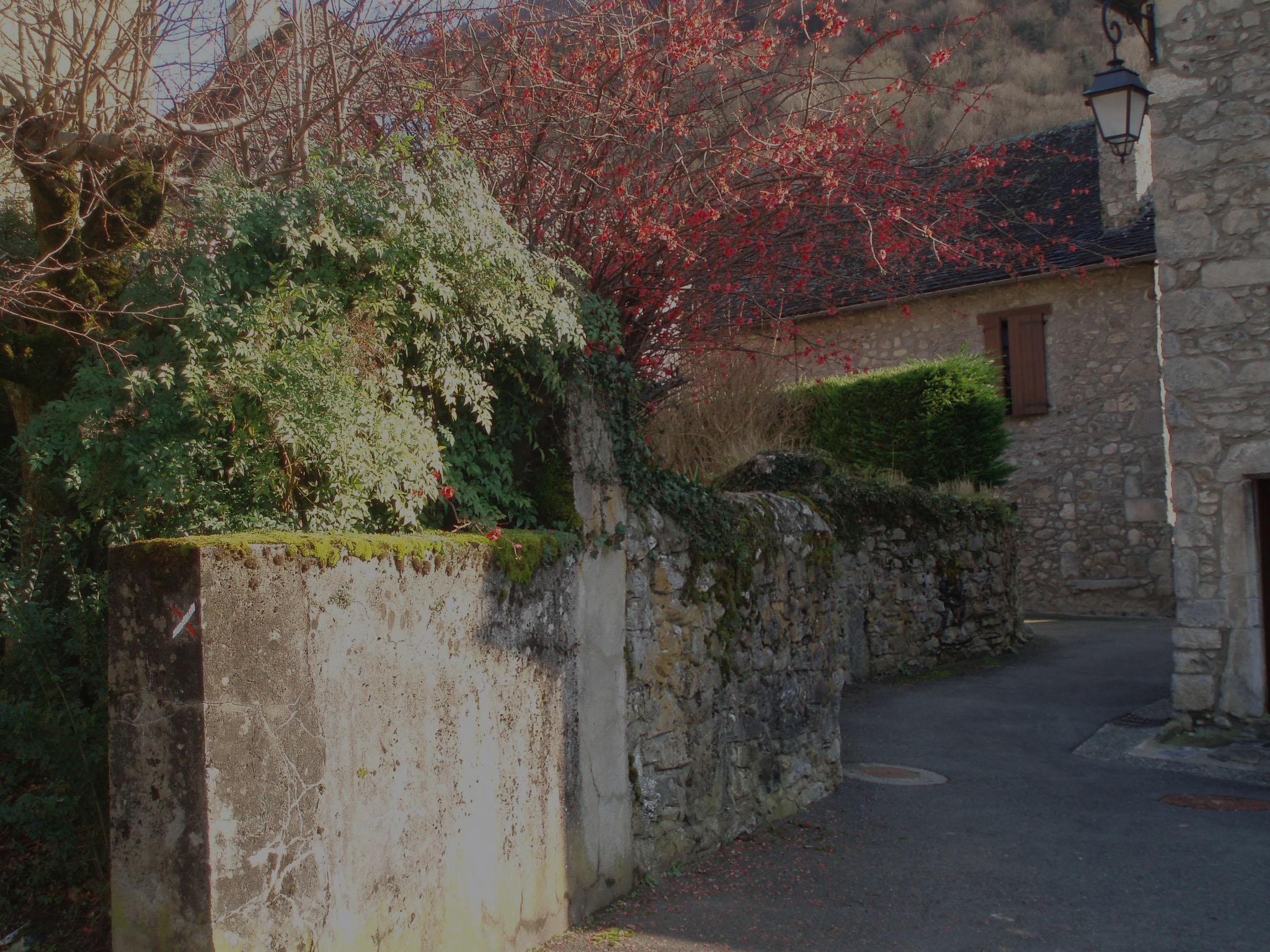 Vallée d'Aspe